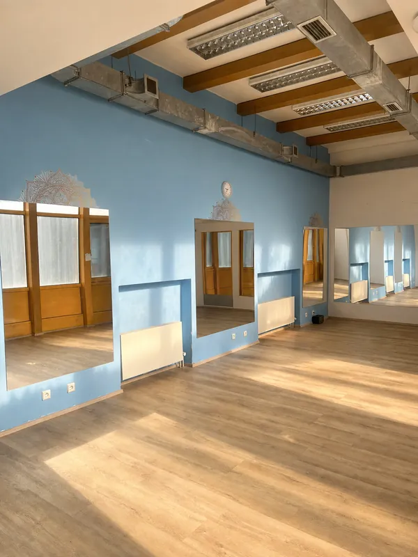 The BoHeMi dance studio with blue walls and mirrors